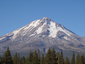 are dogs allowed in mount shasta